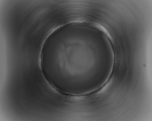 X0000094350802200711162029