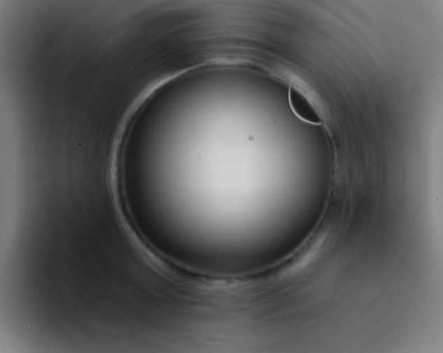 X0000094350803200711162029