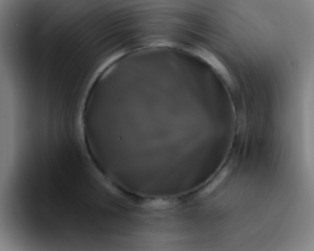 X0000094350806200711162029