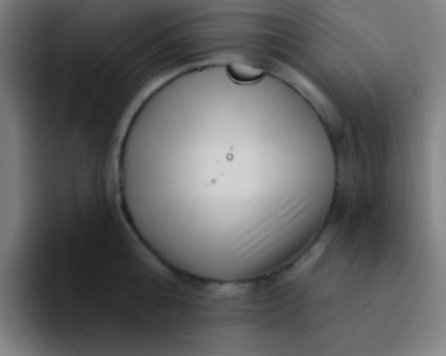 X0000094350808200711162029