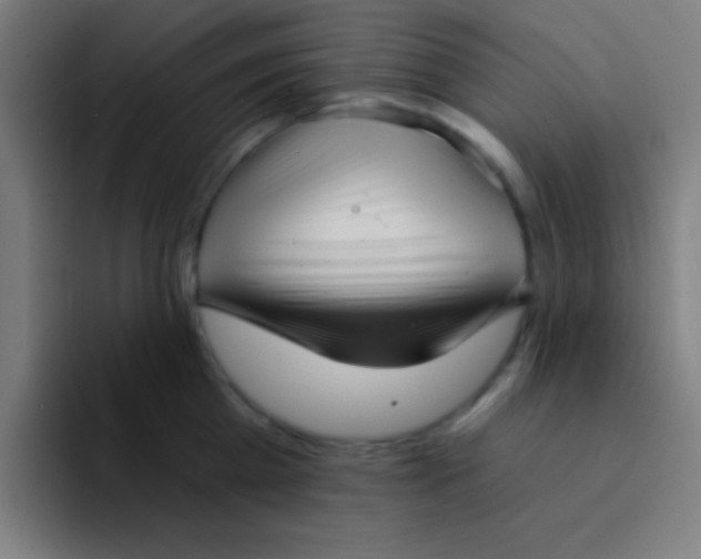 X0000094350809200711162029