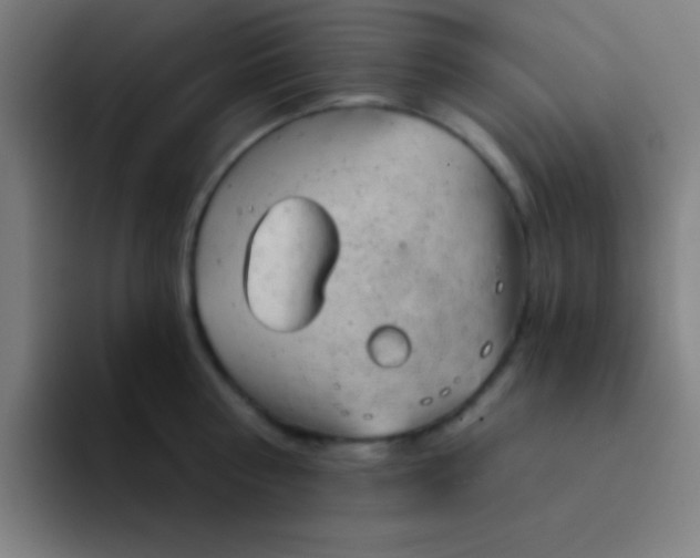 X0000094350810200711162029