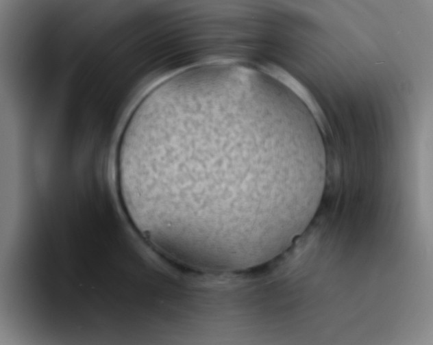 X0000094350811200711162029