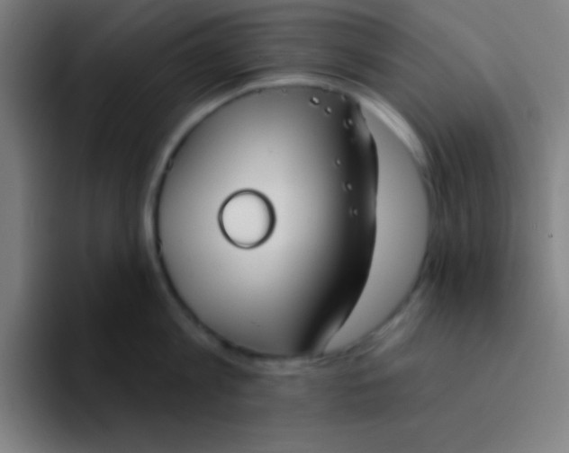 X0000094350813200711162028