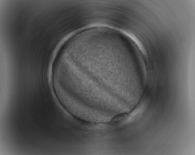 X0000094350815200711162028