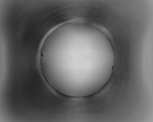 X0000094350816200711162028