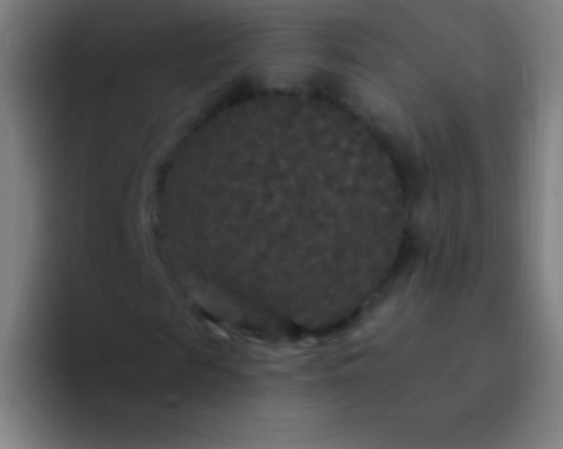 X0000094350817200711162028