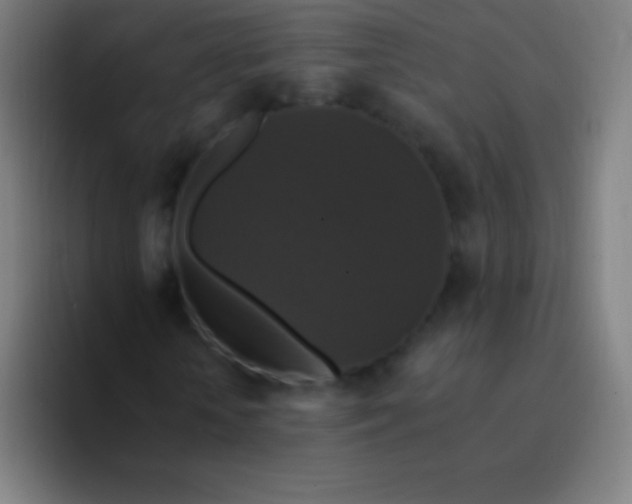 X0000094350818200711162028