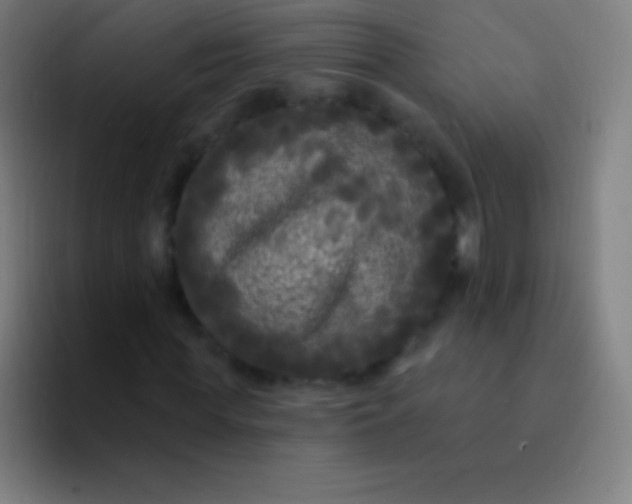 X0000094350819200711162028