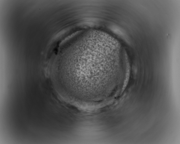 X0000094350822200711162028