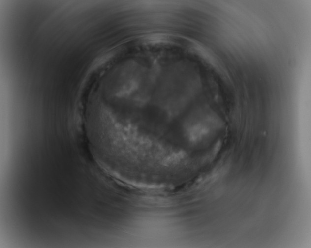 X0000094350823200711162028