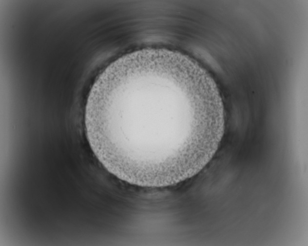 X0000094350824200711162028