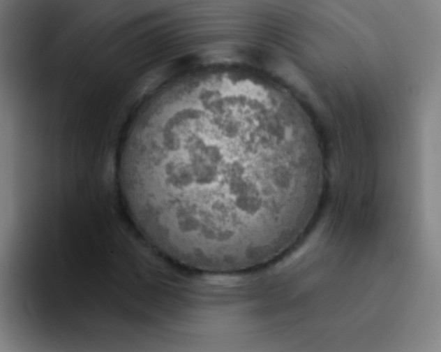 X0000094350825200711162028