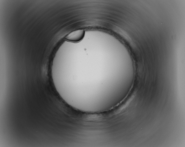 X0000094350826200711162028