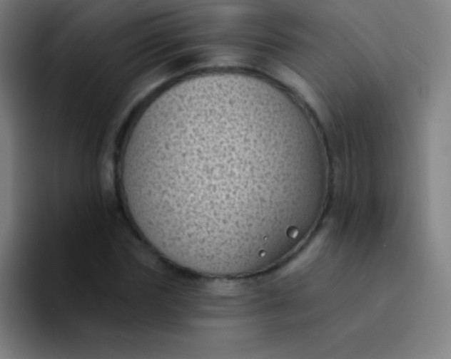 X0000094350827200711162028