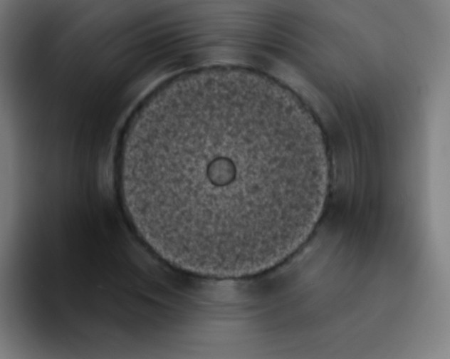 X0000094350828200711162028