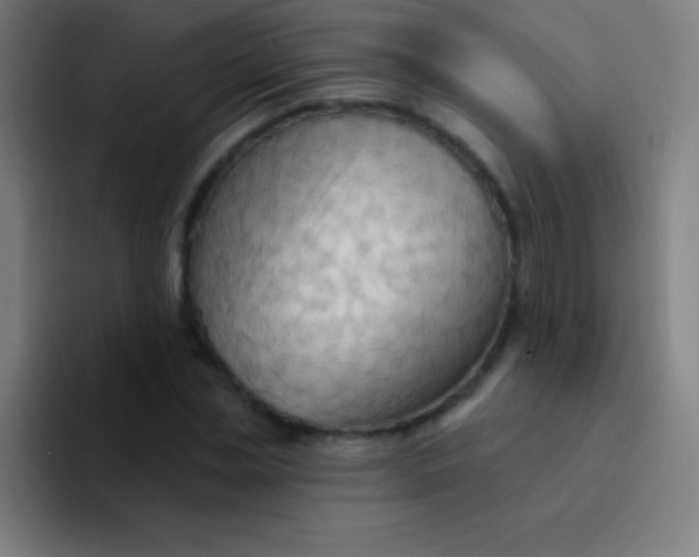 X0000094350829200711162028