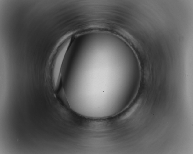 X0000094350830200711162028