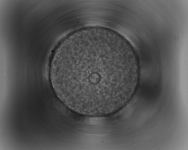 X0000094350832200711162028