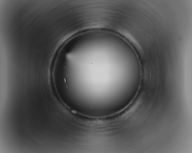 X0000094350834200711162028