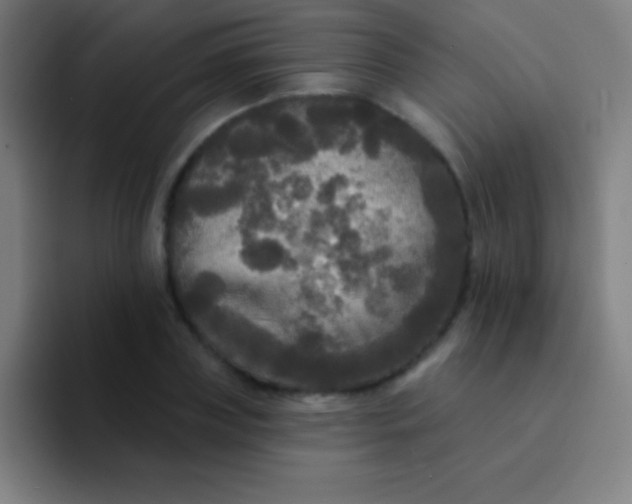 X0000094350835200711162028