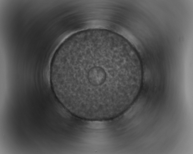 X0000094350836200711162028