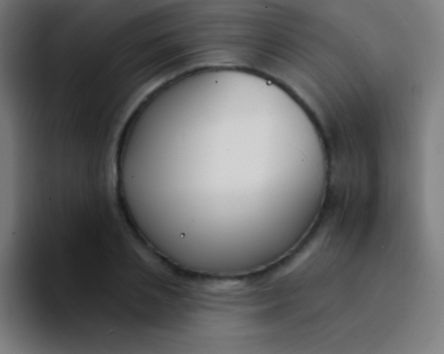 X0000094350837200711162028