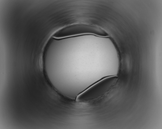 X0000094350838200711162028