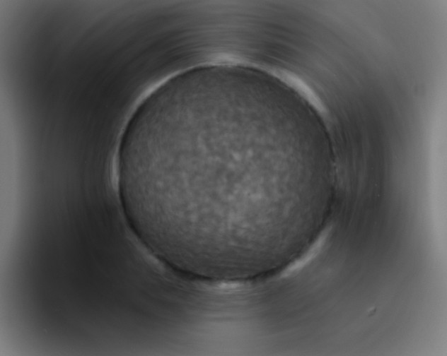 X0000094350839200711162028