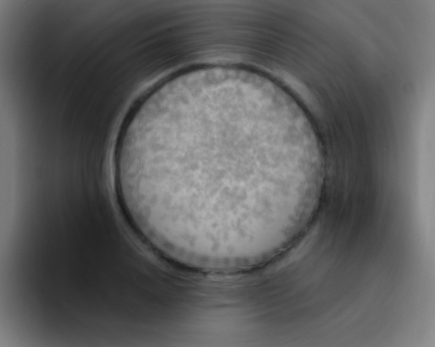 X0000094350840200711162028