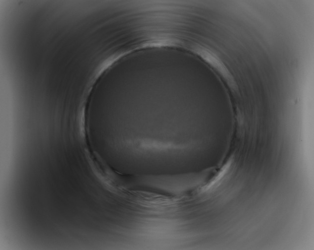 X0000094350842200711162028