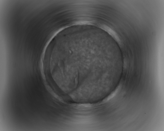 X0000094350844200711162028