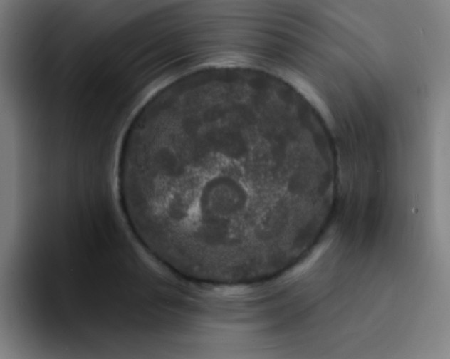 X0000094350845200711162028