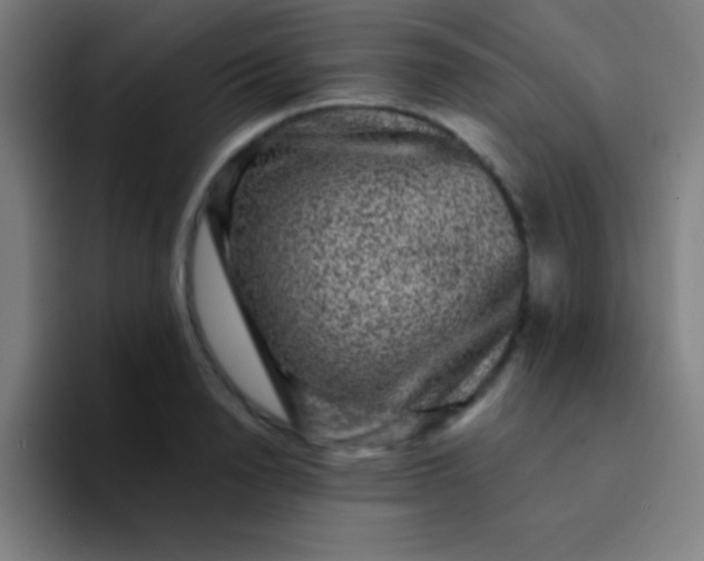 X0000094350846200711162028