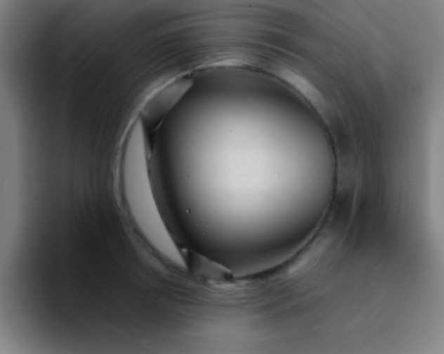 X0000094350850200711162028