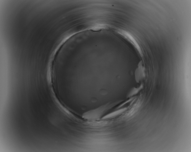 X0000094350851200711162028