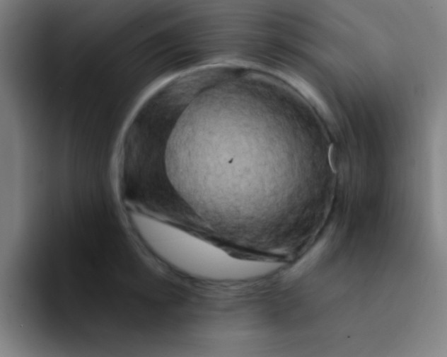 X0000094350854200711162028