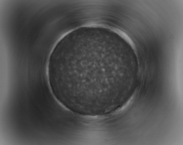 X0000094350855200711162028