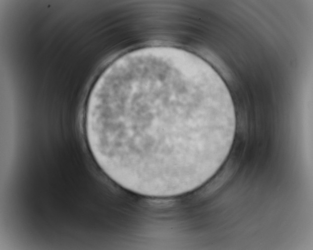 X0000094350856200711162028