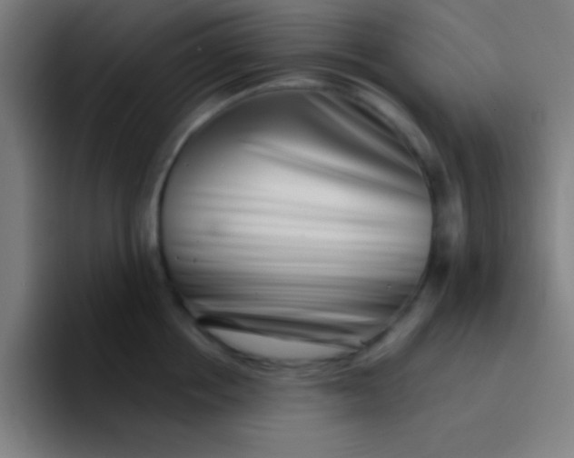 X0000094350858200711162028