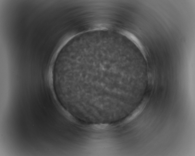 X0000094350859200711162028