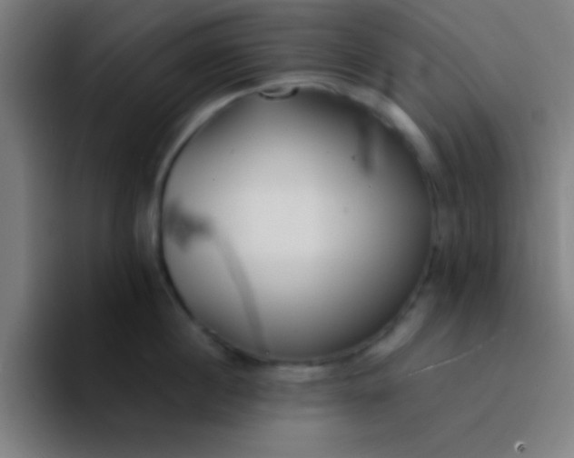 X0000094350860200711162028