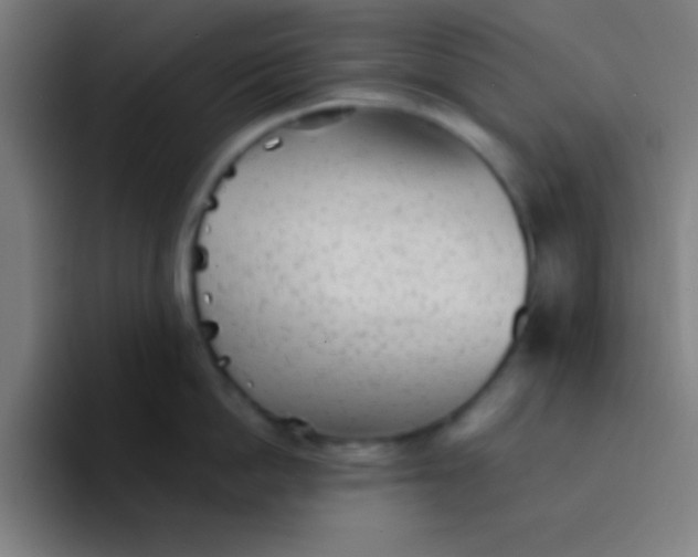 X0000094350862200711162028