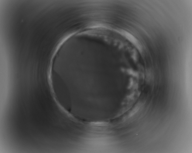 X0000094350863200711162028