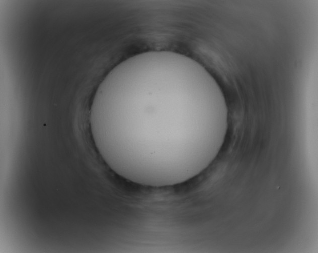 X0000094350865200711162028