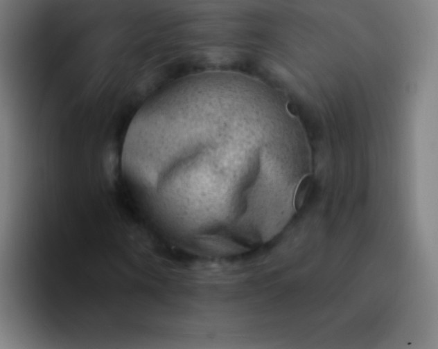 X0000094350866200711162028