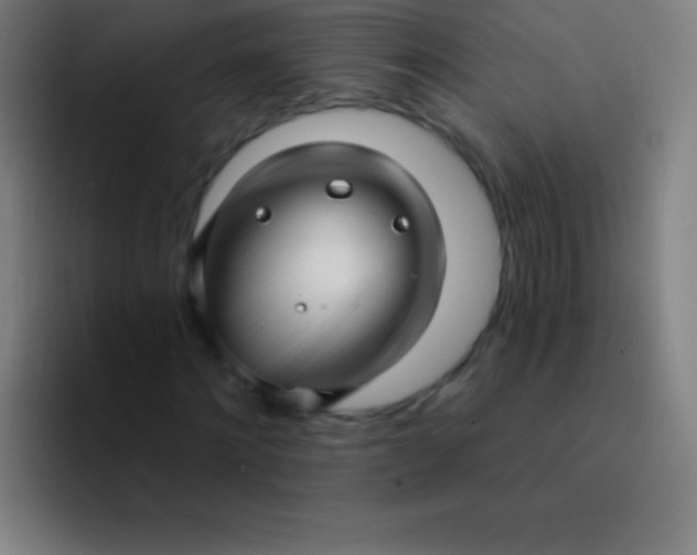 X0000094350868200711162028