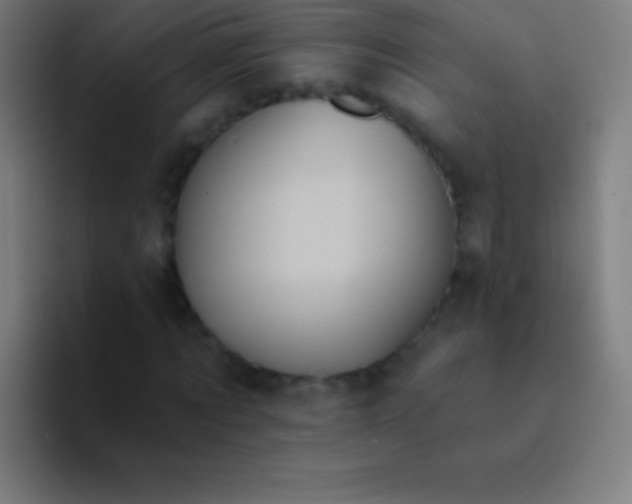 X0000094350869200711162028