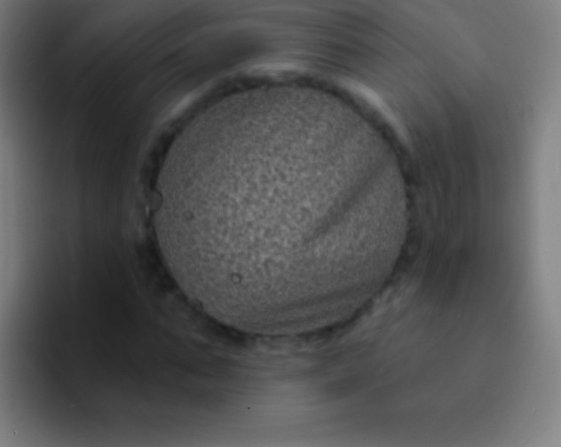 X0000094350871200711162028