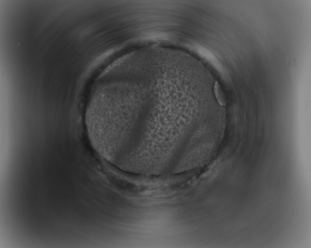 X0000094350872200711162028